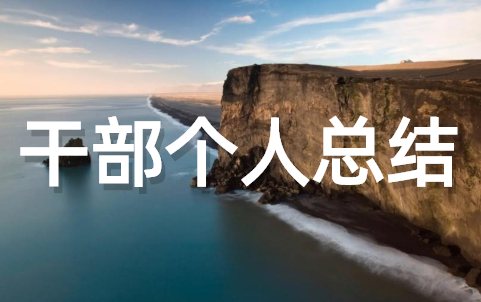 乡镇干部个人工作总结 普通乡镇干部工作总结