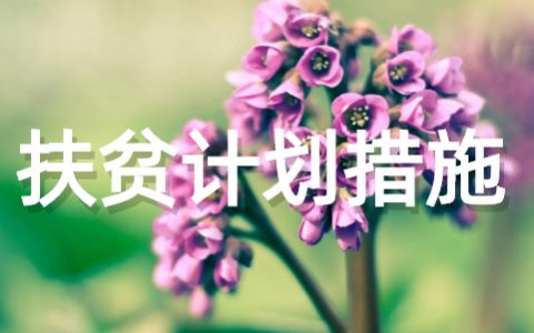 2025精准扶贫帮扶计划和措施 贫困户脱贫帮扶计划大全