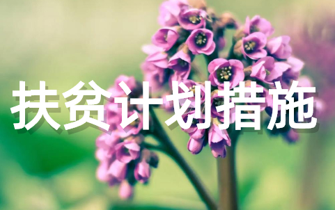 2025精准扶贫帮扶计划和措施 贫困户脱贫帮扶计划大全