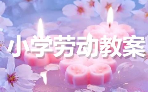 小学生劳动课教案设计 小学劳技课优质课教案