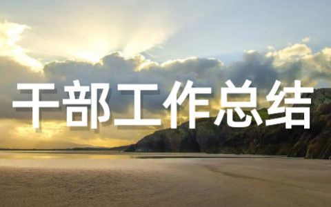 村干部个人工作总结100字 简短农村干部年度考核个人总结