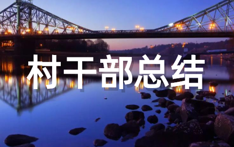2025村干部个人总结 驻村干部个人年末总结