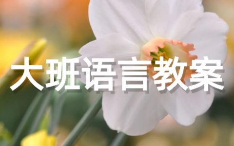 大班语言教案《快乐的假期》 《快乐的假期》注意活动教学设计