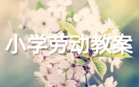 小学劳动课教育通用教案（精选20篇）