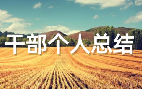 村干部个人总结范文大全（通用16篇）