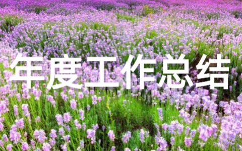 2025年度公务员工作总结 公务员年度考核总结