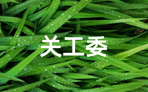 街道关工委工作总结范文 社区街道关工委工作汇报