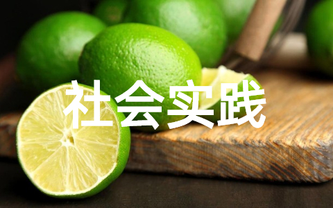 社会实践报告万能模板 大学生社会实践活动报告范文