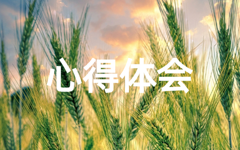 村干部心得体会200字怎么写 村干部心得体会200字左右优秀范文