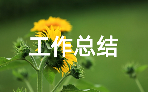 2025年乡村振兴驻村干部个人工作总结 乡村振兴工作队职责