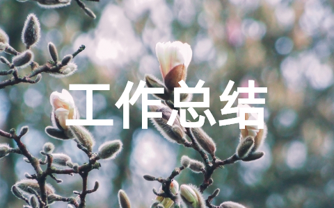 公司员工个人工作总结模板大全 个人每日工作总结模板