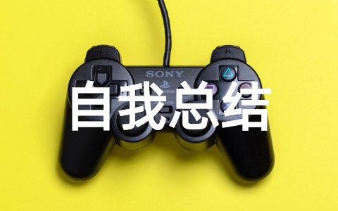 关于2025年元旦自我总结范文大全（通用23篇）