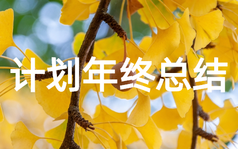 年终个人工作总结和计划 年度个人总结及明年工作计划