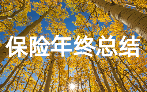 保险年终总结范文大全（精选16篇）