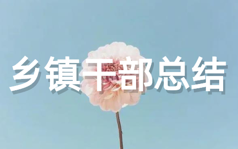 乡镇干部工作总结 普通乡镇干部个人总结