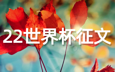 2025年世界杯足球征文（精选21篇）