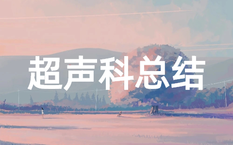 2025超声科医师年度总结大全