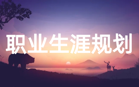 毕业生个人职业生涯规划精选大全