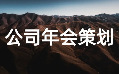 2025年公司年会活动策划（精选25篇）