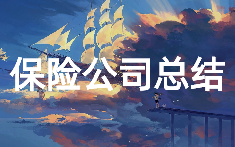 2025年保险公司年终工作总结大全