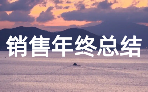 销售年度工作总结报告 2025公司销售年终工作总结