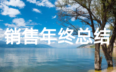 销售年终总结报告 销售工作总结范文大全