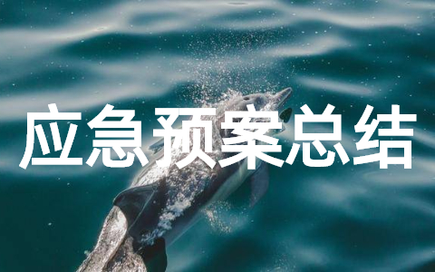 洗煤厂应急预案演练总结 应急预案演练工作总结