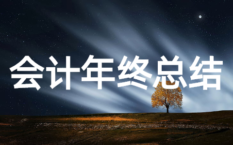 会计人员年终总结 会计个人年终工作总结