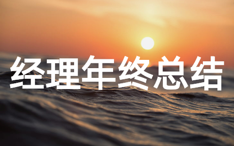 项目经理年终工作总结 项目经理2025年度总结报告