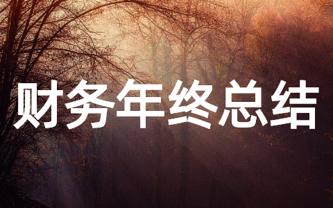 财务部年终工作总结 2025年财务部年度总结