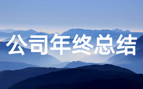 公司年终工作总结报告 2025年公司年度总结范文