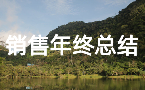销售年终个人总结怎么写