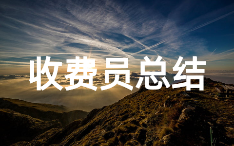 2025年收费员年终总结 收费员年终工作总结范文