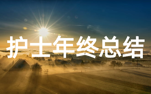 护士个人年终总结 2025年护士个人年终工作总结