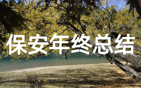 保安队长年终总结怎么写 保安队长年终工作总结范文