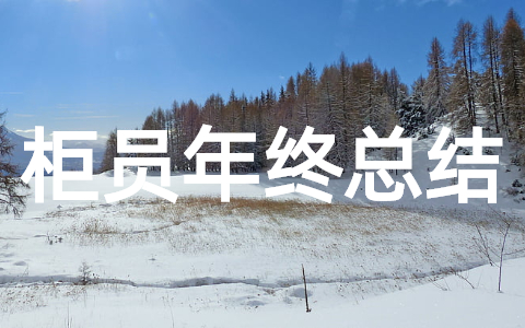 2025年银行柜员年终总结大全