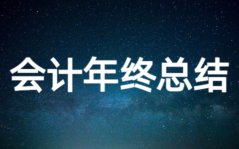 最新会计年终工作总结范文