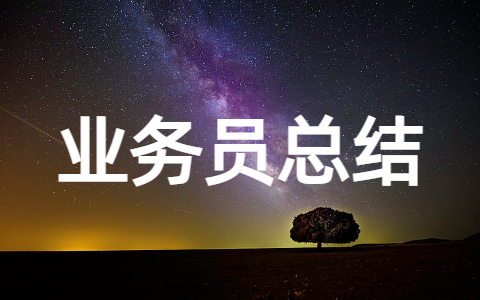 业务员年终总结范文 业务人员年终工作总结报告