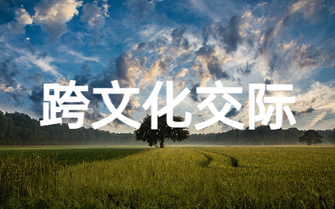 跨文化交际参考论文 跨文化交际毕业论文