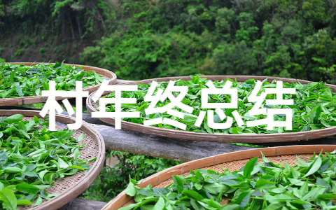 村年终工作总结范文大全