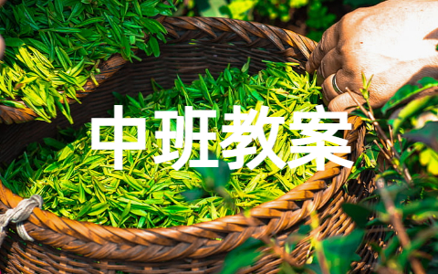 语言领域猜猜我有多爱你中班教案