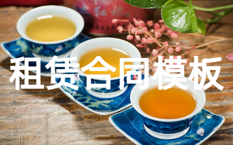 个人租赁合同模板 商铺租赁合同模板电子版