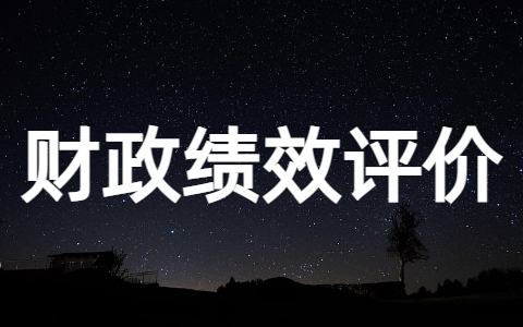 财政预算项目绩效评价报告大全