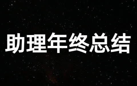2025年助理年终工作总结（精选28篇）