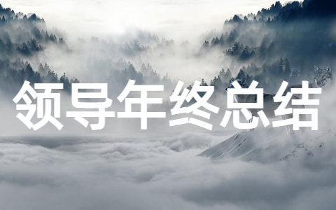 领导年终工作总结（精选15篇）