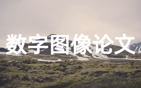 数字图像处理论文大全