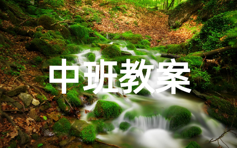 幼儿园中班比较粗细教案（精选12篇）