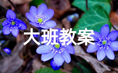 我是天气预报员大班教案及反思(精选12篇)