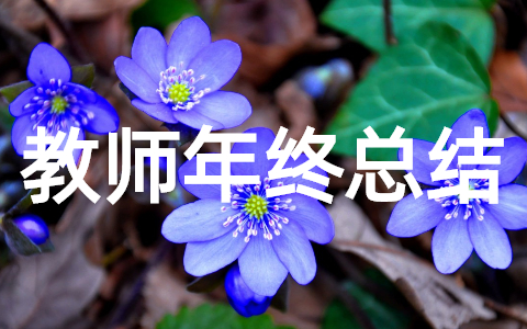 教师年终总结报告个人工作(精选20篇)