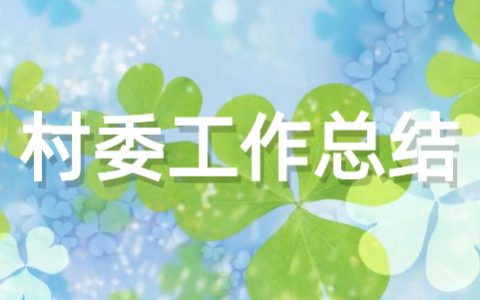 村委会个人工作总结（精选18篇）